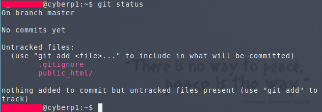 Git status