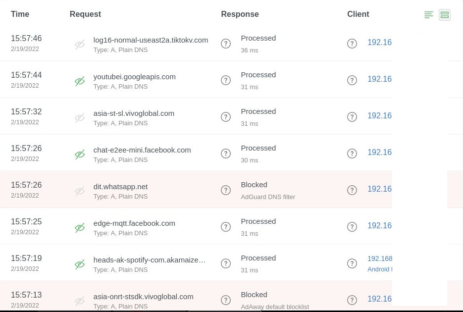 AdGuard Query Log